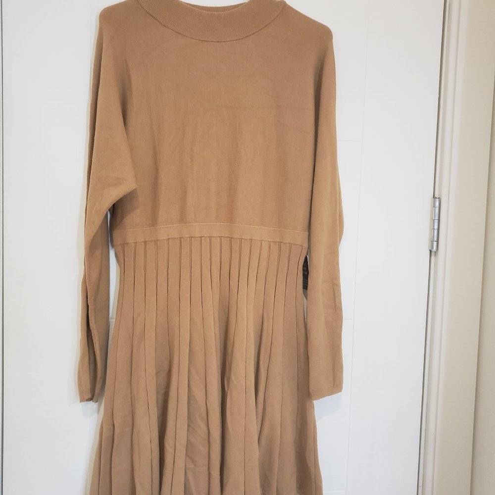 Express_Knit dress